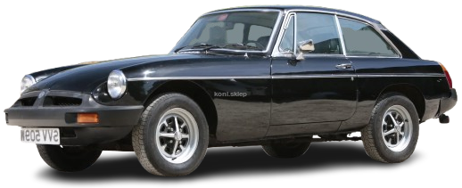 COUPE RWD [1965-1980]