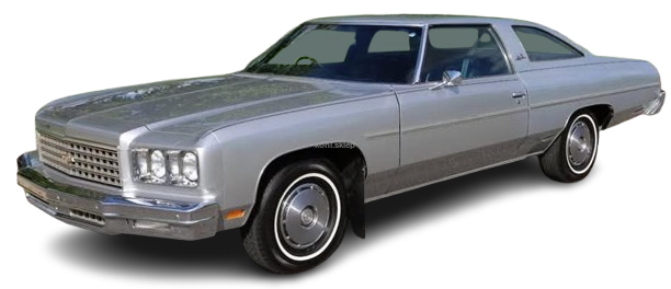 COUPE RWD [1976-1981]