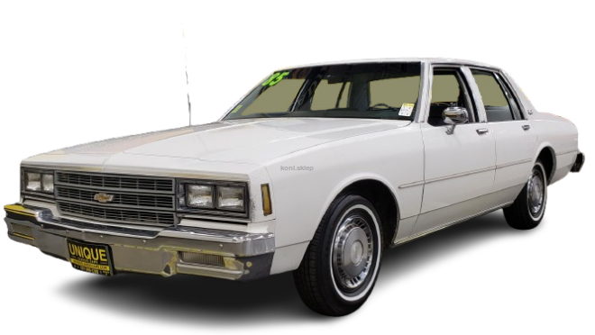 SALOON RWD [1976-1985]